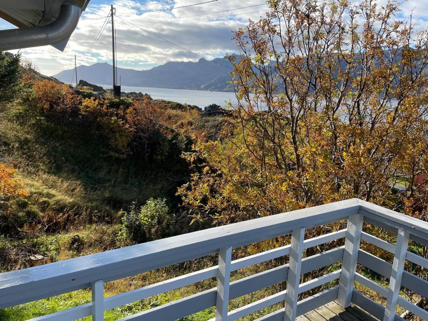 Vettinghytta, Close To The Sea With Amazing View. Gravdal  Εξωτερικό φωτογραφία